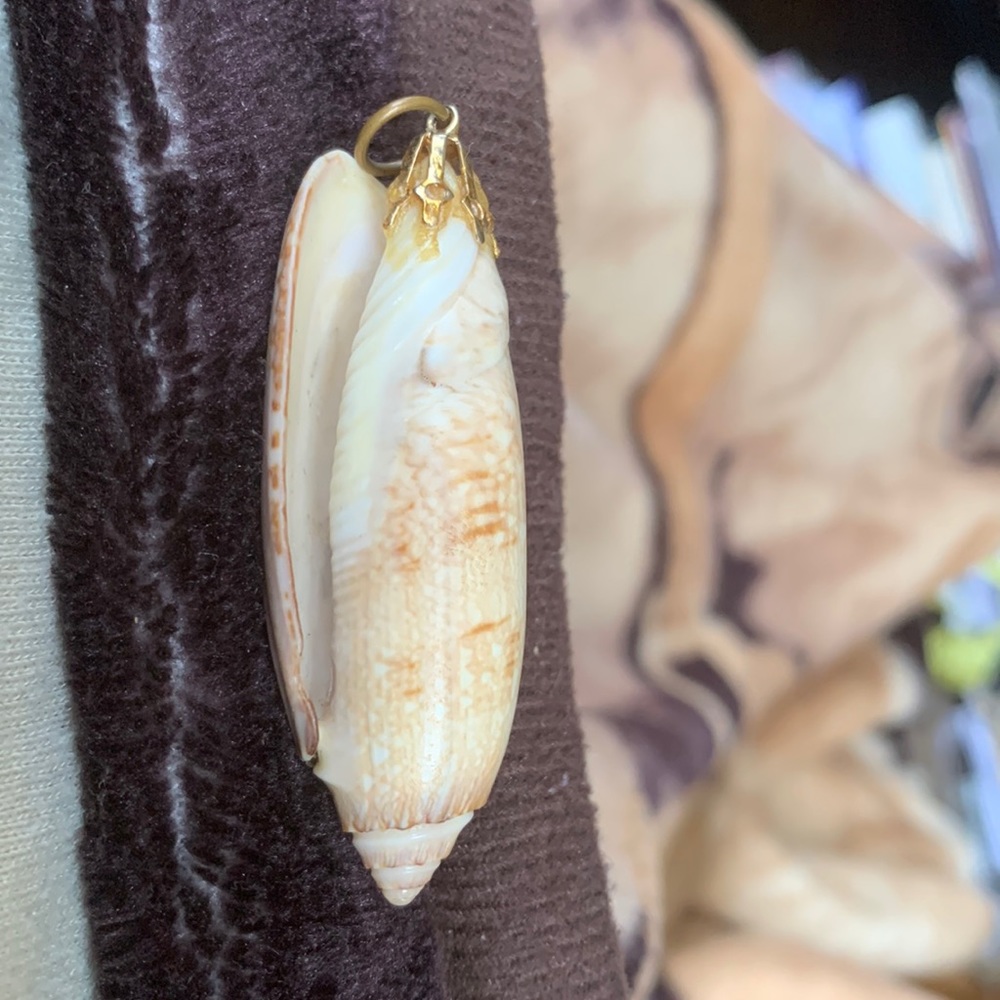 Shell Pendant 3”